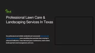 Professional-Lawn-Care-and-Landscaping-Services-In-Texas