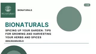 Spicing Up Your Garden: Tips for Growing and Harvesting Your Herbs and Spices