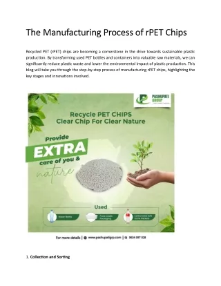 The Manufacturing Process of rPET Chips