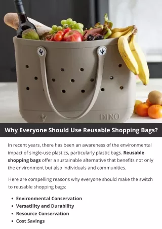 Why Everyone Should Use Reusable Shopping Bags?