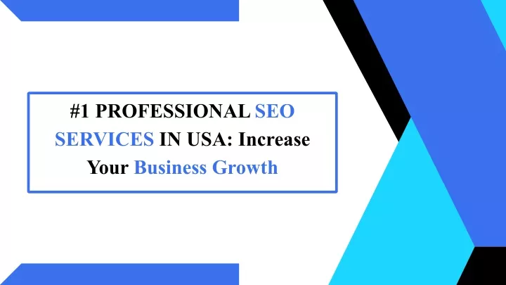 1 professional seo services in usa increase your