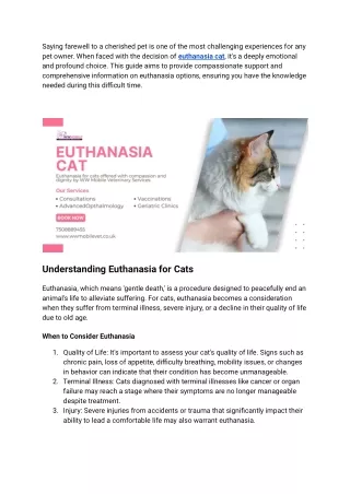 Saying Goodbye_ Euthanasia Options for Your Cat