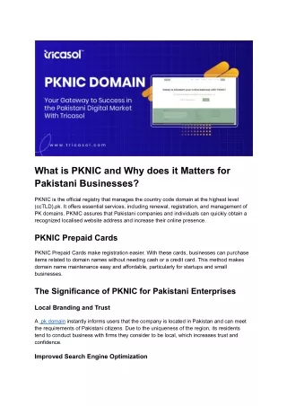 What is PKNIC and Why does it Matters for Pakistani Businesses?