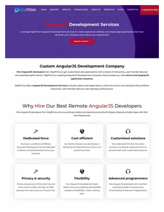Digiprima Angular JS Development Service