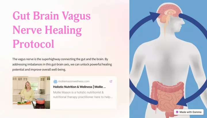 gut brain vagus nerve healing protocol