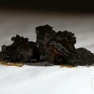 Black tar heroin