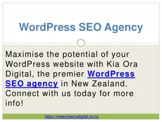 WordPress SEO Agency