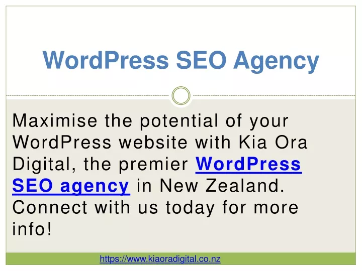 wordpress seo agency