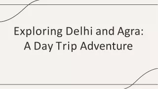 exploring-delhi-and-agra-a-day-trip-adventure
