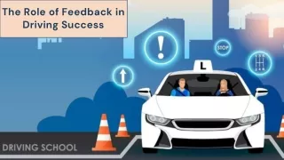 The Role of Feedback in Driving Success