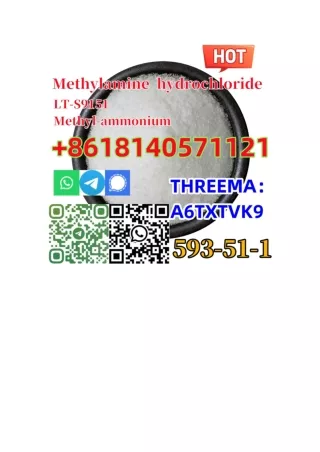 (Buy)99% purity Methylamine Hydrochloride cas 593–51–1 for Pharmaceutical 20 GEL