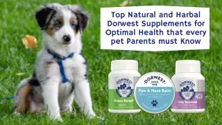 Top Natural and Harbal Dorwest Supplements for Optimal Health that every pet Parents must Know
