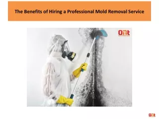 The Benefits of Hiring a Professional Mold Removal Service