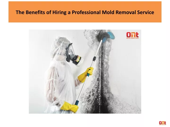 the benefits of hiring a professional mold removal service