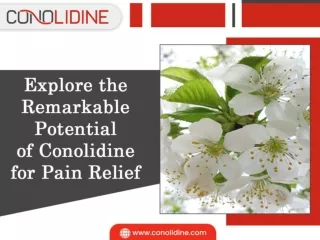 Explore the Remarkable Potential of Conolidine for Pain Relief