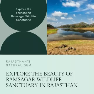 Explore the Beauty of Ramsagar Wildlife Sanctuary in Rajasthan