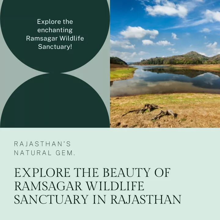 explore the enchanting ramsagar wildlife sanctuary