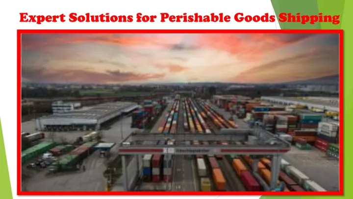 expert solutions for perishable goods shipping