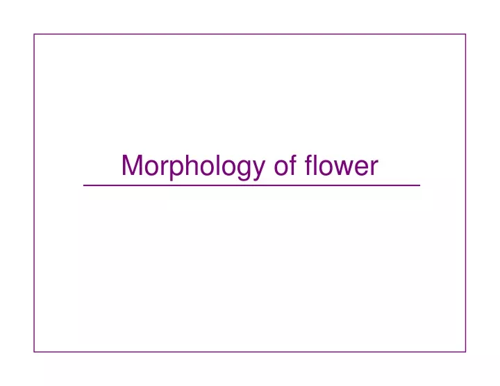 morphology of flower