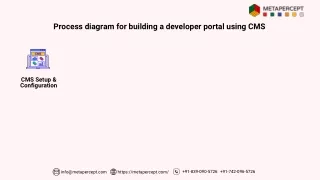 Process diagram for building developer portal using CMS