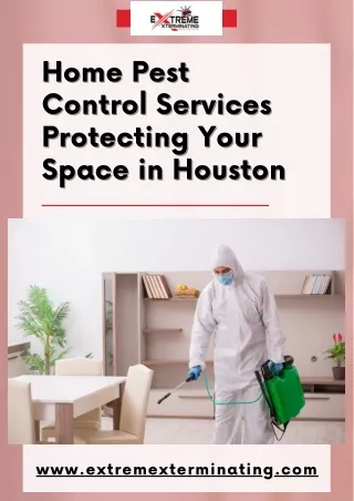 Home Pest Control Services Protecting Your Space in Houston