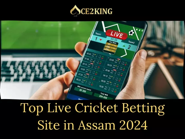 top live cricket betting site in assam 2024