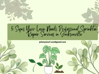 5 Signs Your Lawn Needs Professional Sprinkler Repair Services