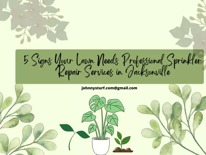 5 signs your lawn needs professional sprinkler