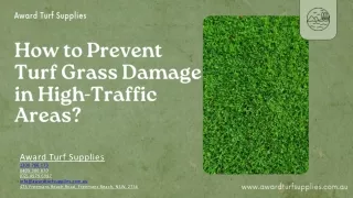 How to Prevent Turf Grass Damage in High-Traffic Areas