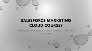 Salesforce Marketing Cloud Course