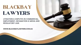 Commercial & Employment Law Firm
