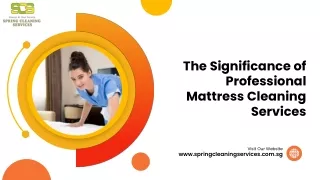 The Significance of Professional Mattress Cleaning Services