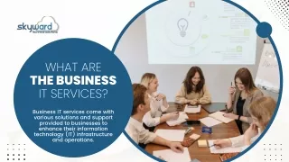 What are the business IT services?