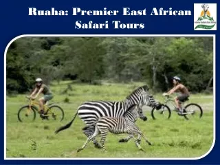Ruaha Premier East African Safari Tours