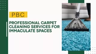 Professional Carpet Cleaning Services for Immaculate Spaces