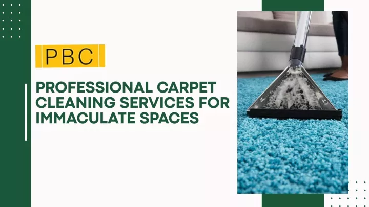 professional carpet cleaning services