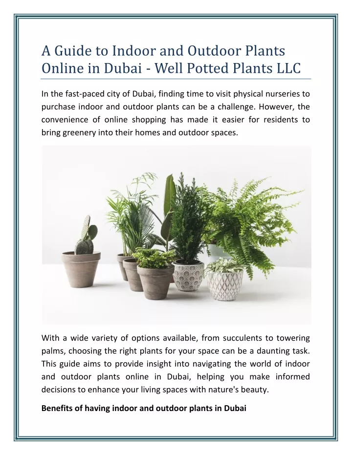 a guide to indoor and outdoor plants online