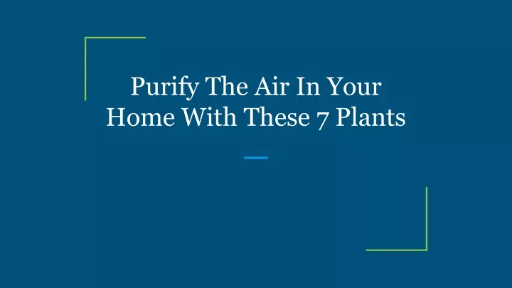 purify the air in your home with these 7 plants