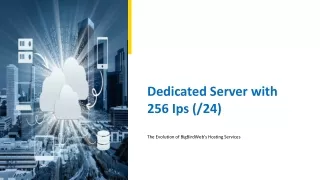 dedicated server with 256 ips 24