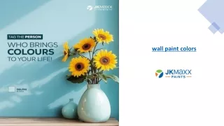 Wall Paint Colors for Your Walls