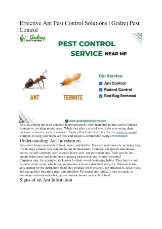 Effective Ant Pest Control Solutions