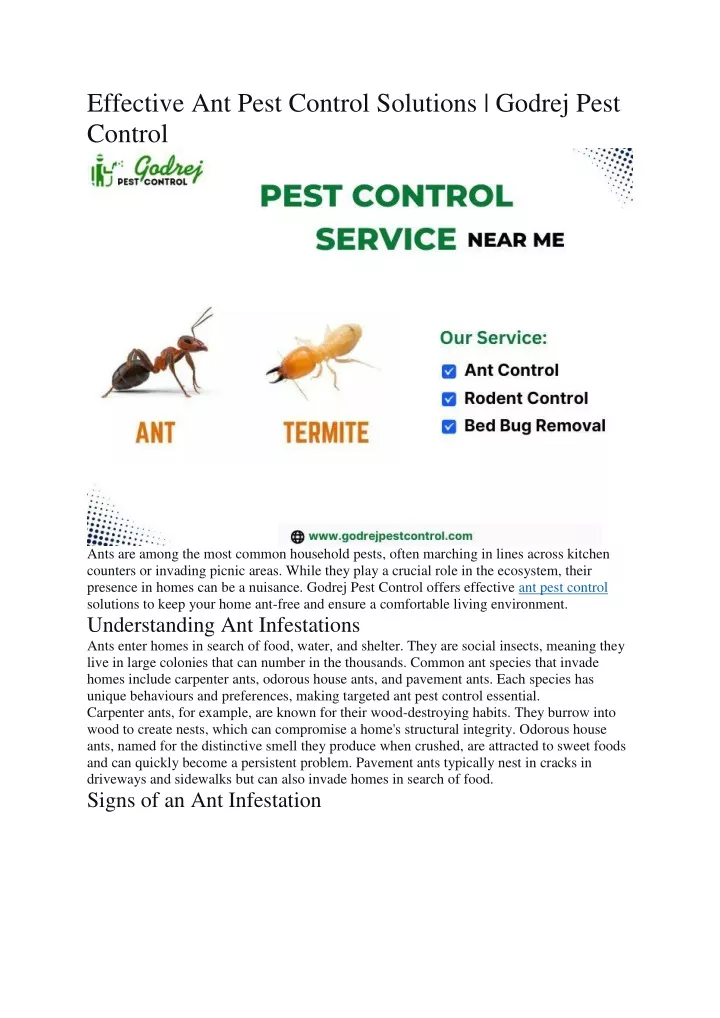 effective ant pest control solutions godrej pest