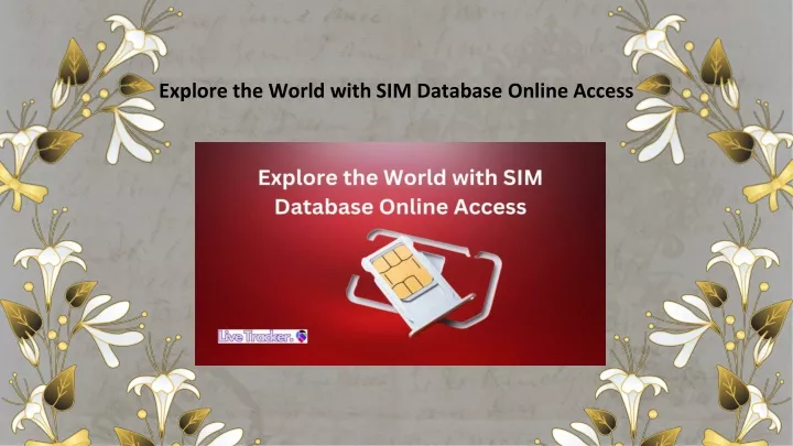 explore the world with sim database online access