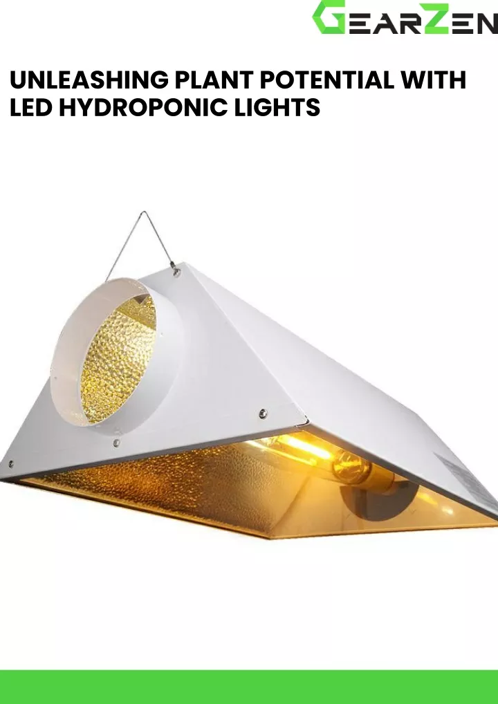 unleashing plant potential with led hydroponic