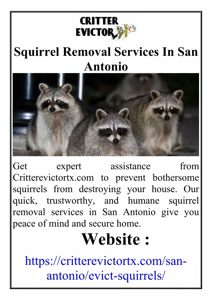 squirrel removal services in san antonio