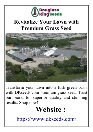 Revitalize Your Lawn with Premium Grass Seed