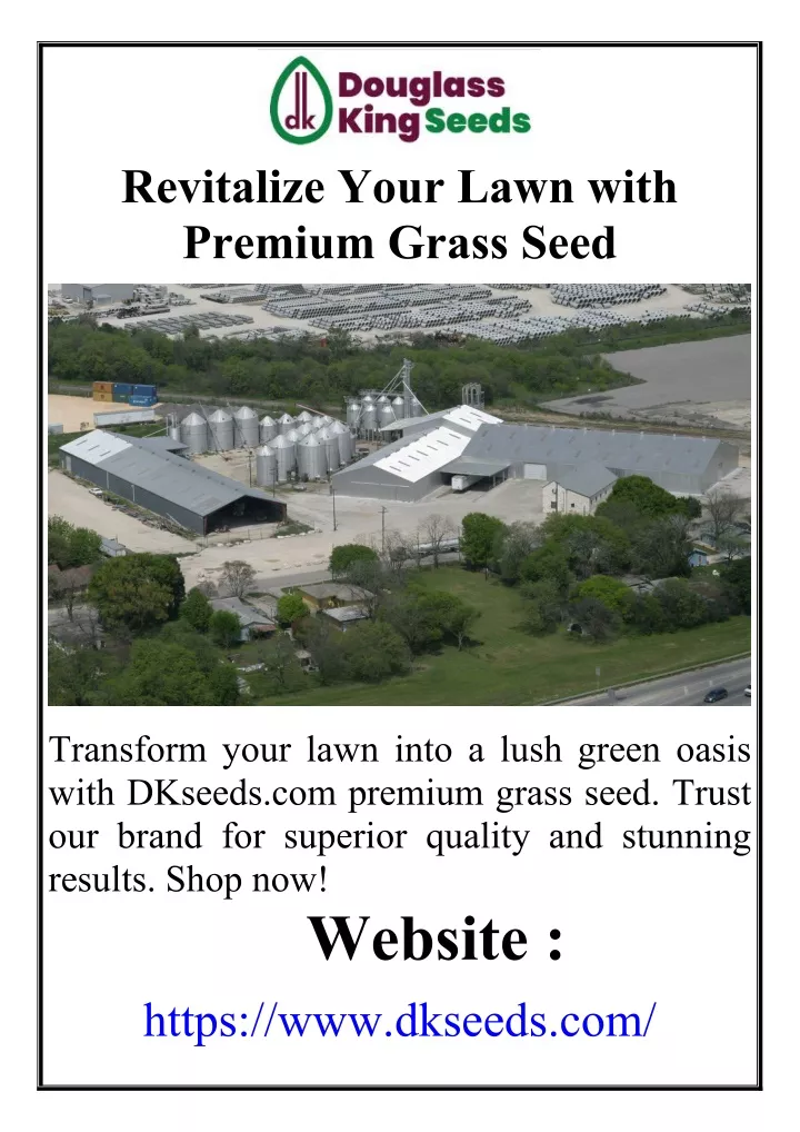 revitalize your lawn with premium grass seed