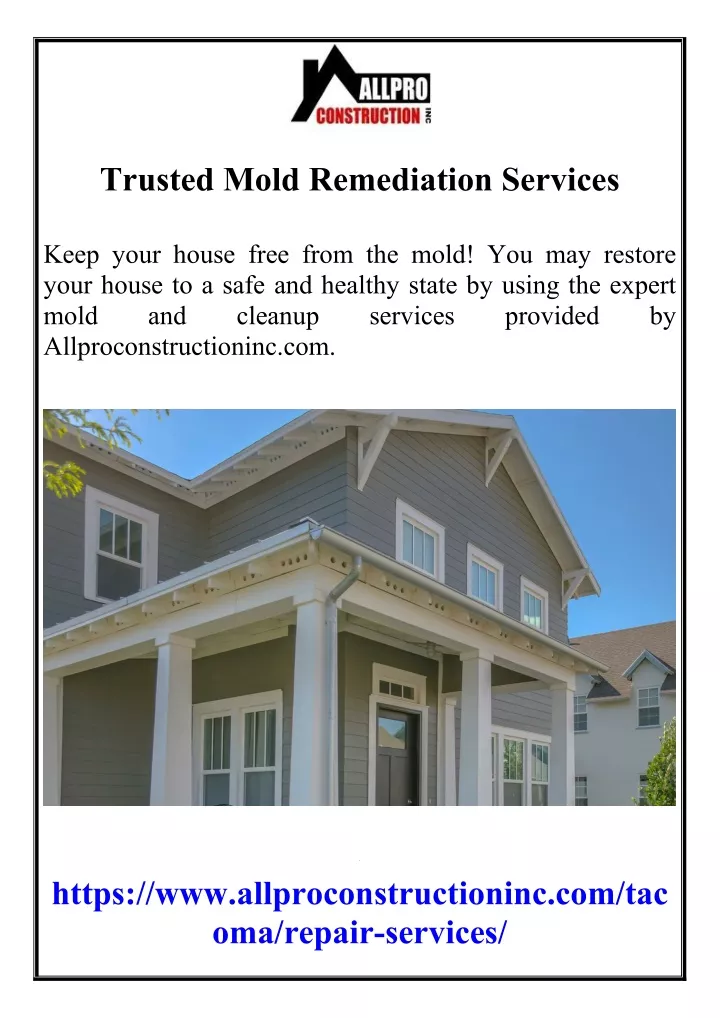 trusted mold remediation services