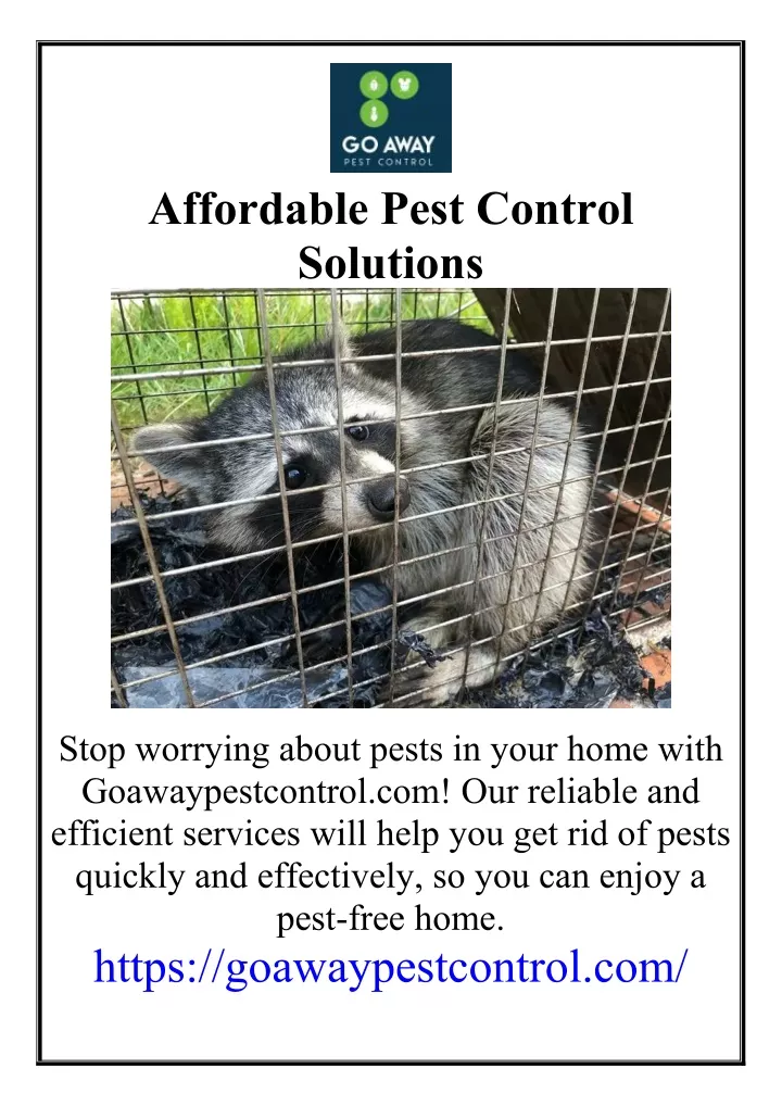 affordable pest control solutions