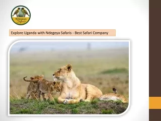 Explore Uganda with Ndegeya Safaris